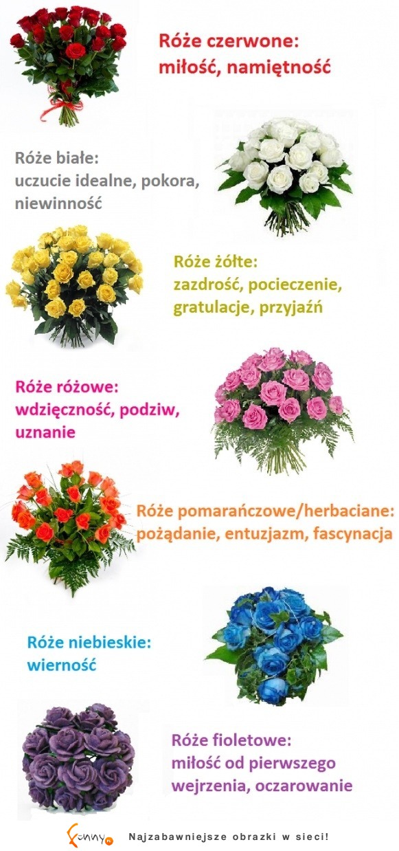 Ściągawka dla facetów - kolory kwiatów, co oznaczają! ;)