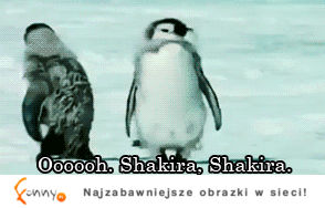 Shakira, shakira :D