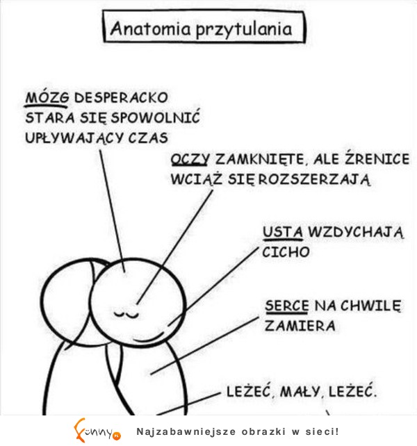Anatomia przytulania