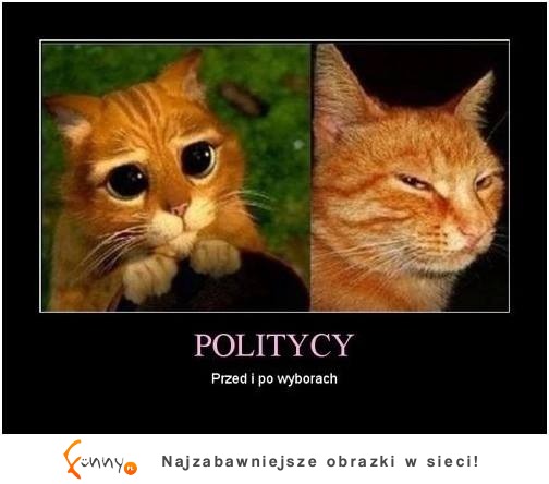 Politycy- przed i po wyborach :D