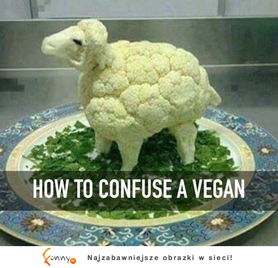 koszmar dla vegan