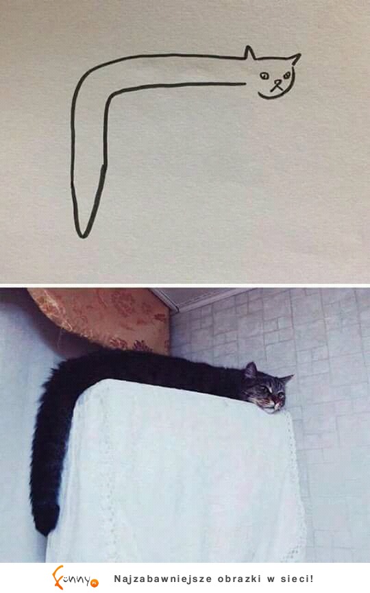 koty to sztuka