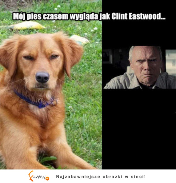 Clint Pieswood